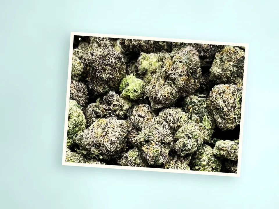 Archive Runtz indoor THCA flower on a painted plank