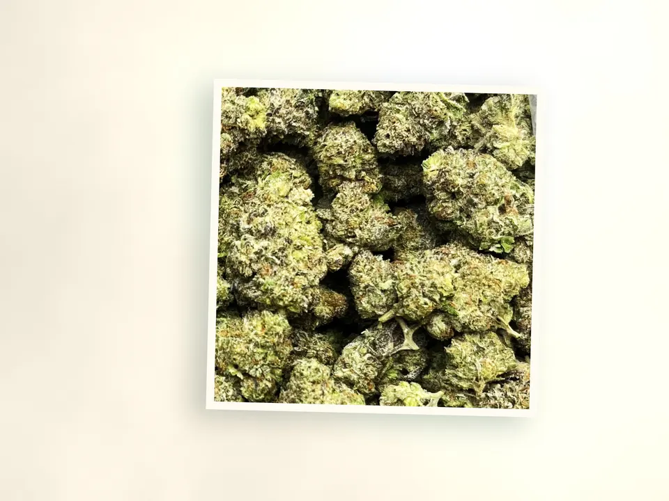 Cupcakez greenhouse THCA flower up close, side-lit
