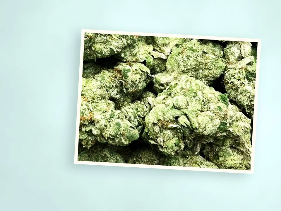 Donny Burger greenhouse THCA flower on a painted plank