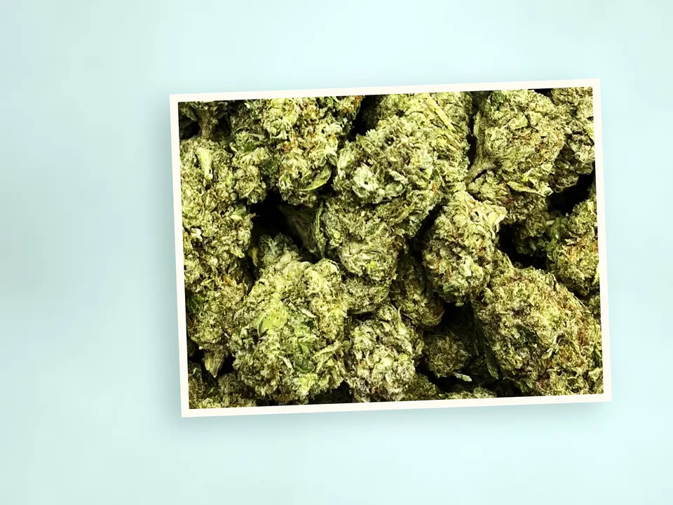G41 greenhouse THCA flower on a painted plank