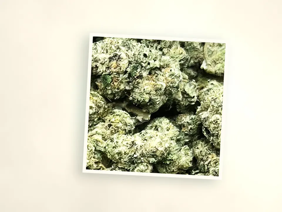 LFG indoor THCA flower up close, side-lit
