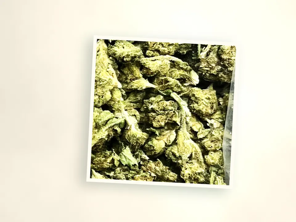 Mixed smalls THCA flower up close, side-lit